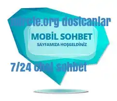 makale hirsizligi